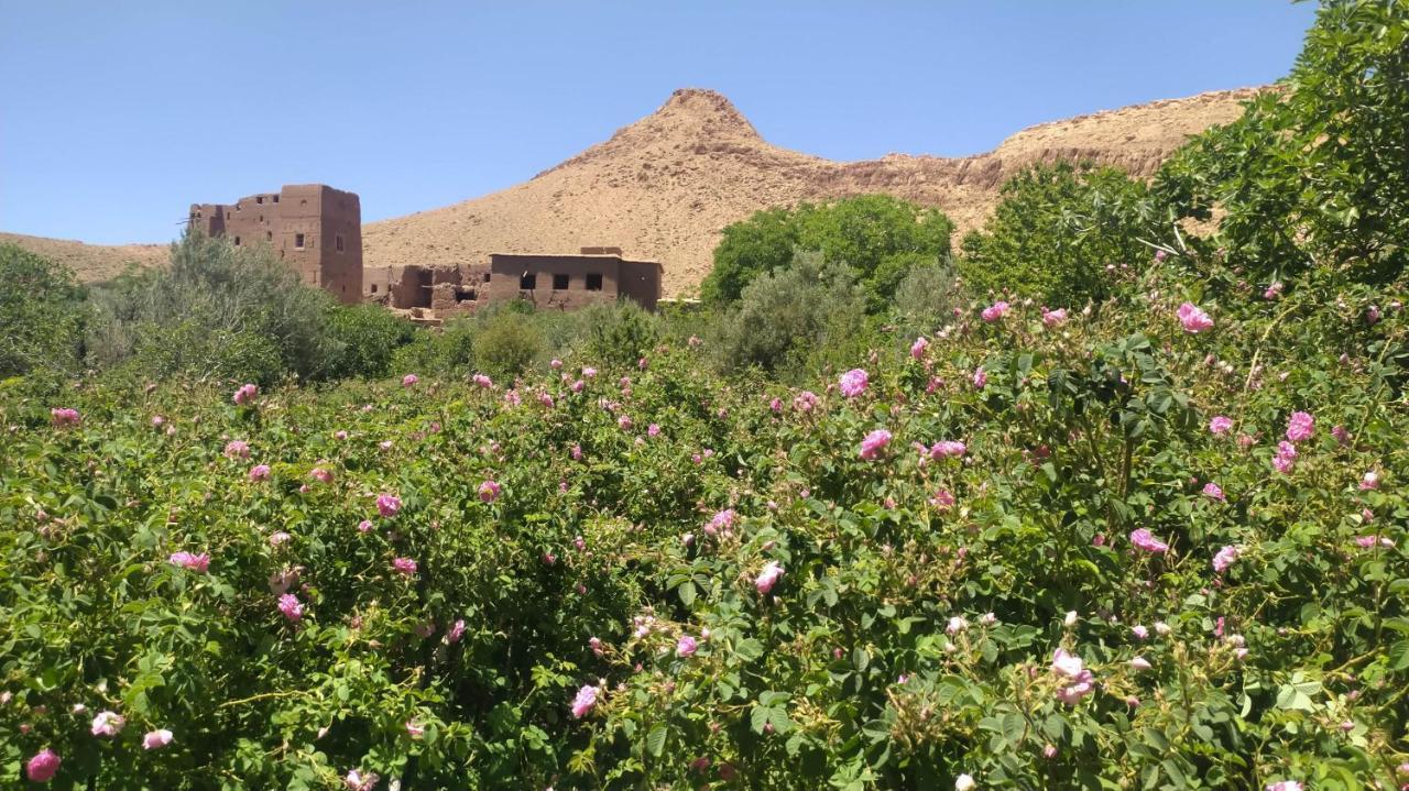 Les Jardins Du M'Goun Bed & Breakfast Kelaat-M'Gouna Dış mekan fotoğraf