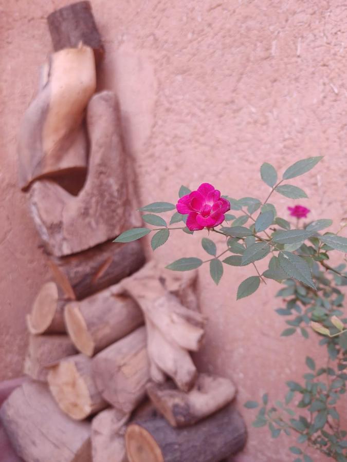 Les Jardins Du M'Goun Bed & Breakfast Kelaat-M'Gouna Dış mekan fotoğraf