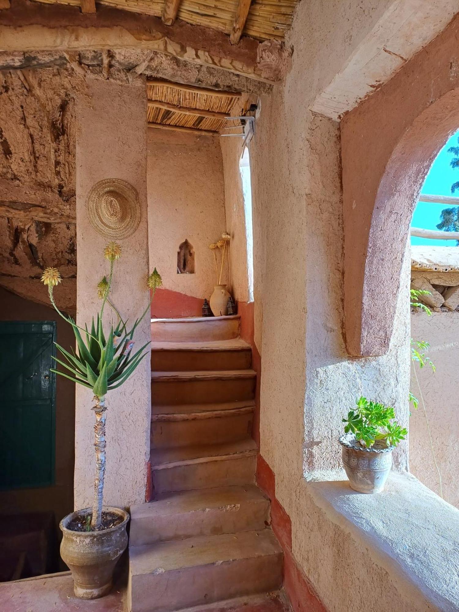 Les Jardins Du M'Goun Bed & Breakfast Kelaat-M'Gouna Dış mekan fotoğraf