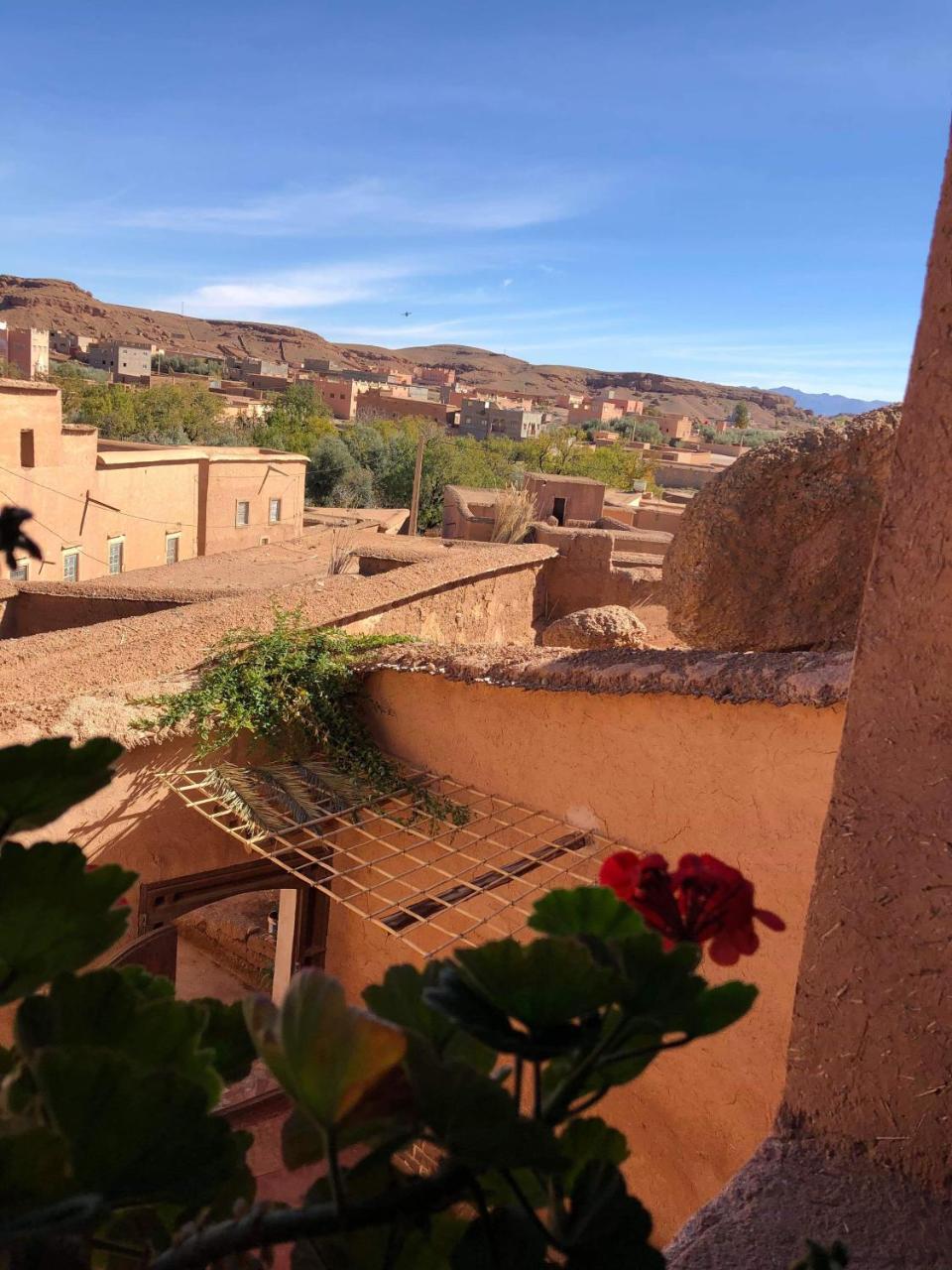 Les Jardins Du M'Goun Bed & Breakfast Kelaat-M'Gouna Dış mekan fotoğraf